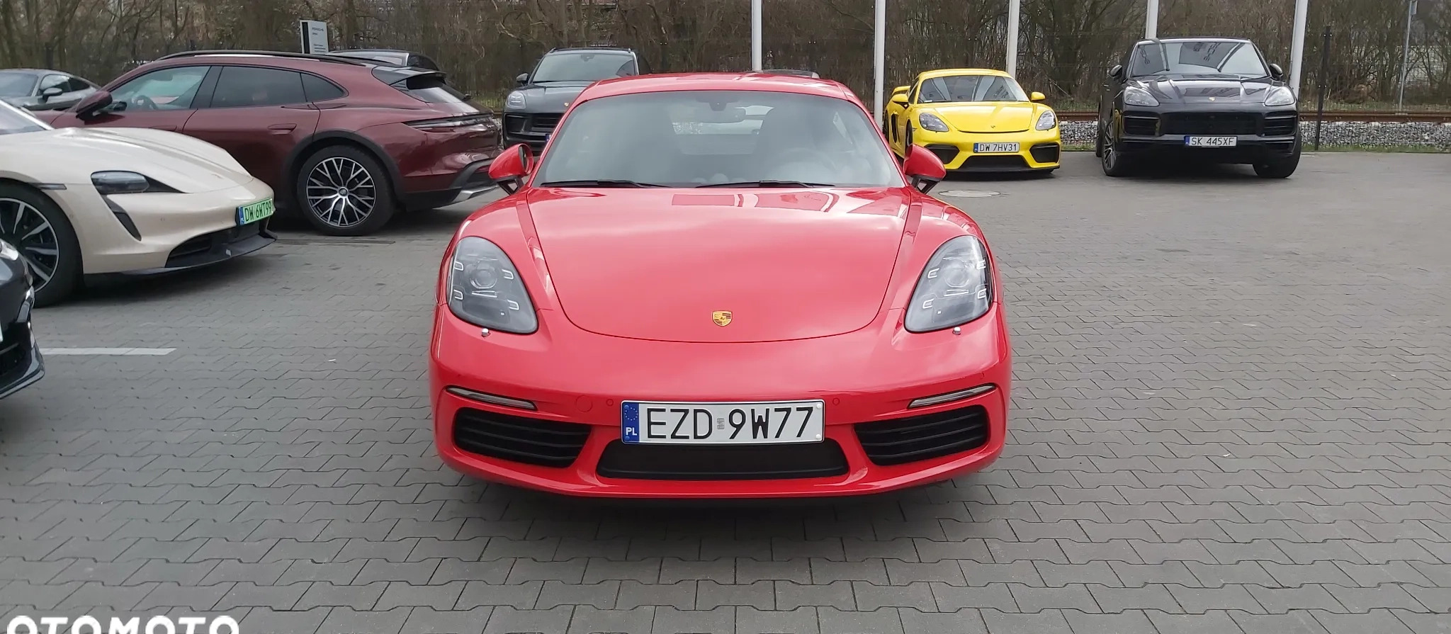 Porsche 718 Cayman cena 389999 przebieg: 9, rok produkcji 2023 z Pabianice małe 254